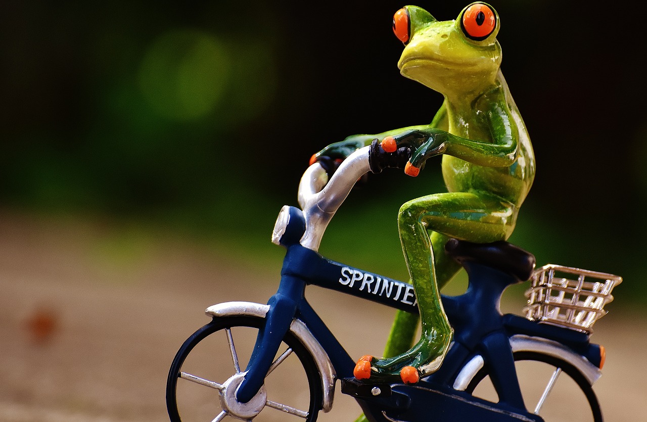 The Role of Bicycle Commuting in Sustainable Living